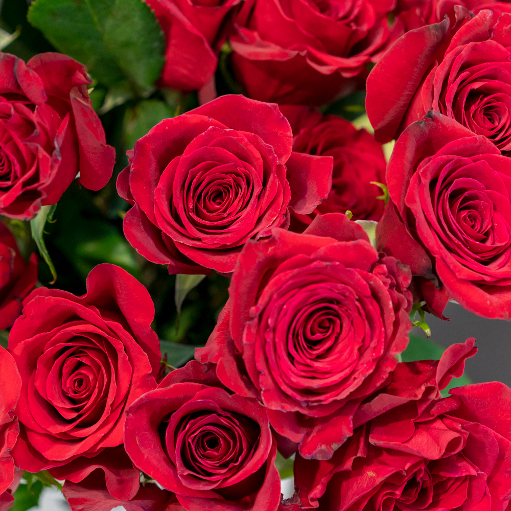 Dzień Pracownika Służby Zdrowia